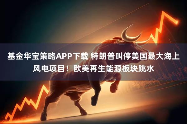 基金华宝策略APP下载 特朗普叫停美国最大海上风电项目！欧美再生能源板块跳水